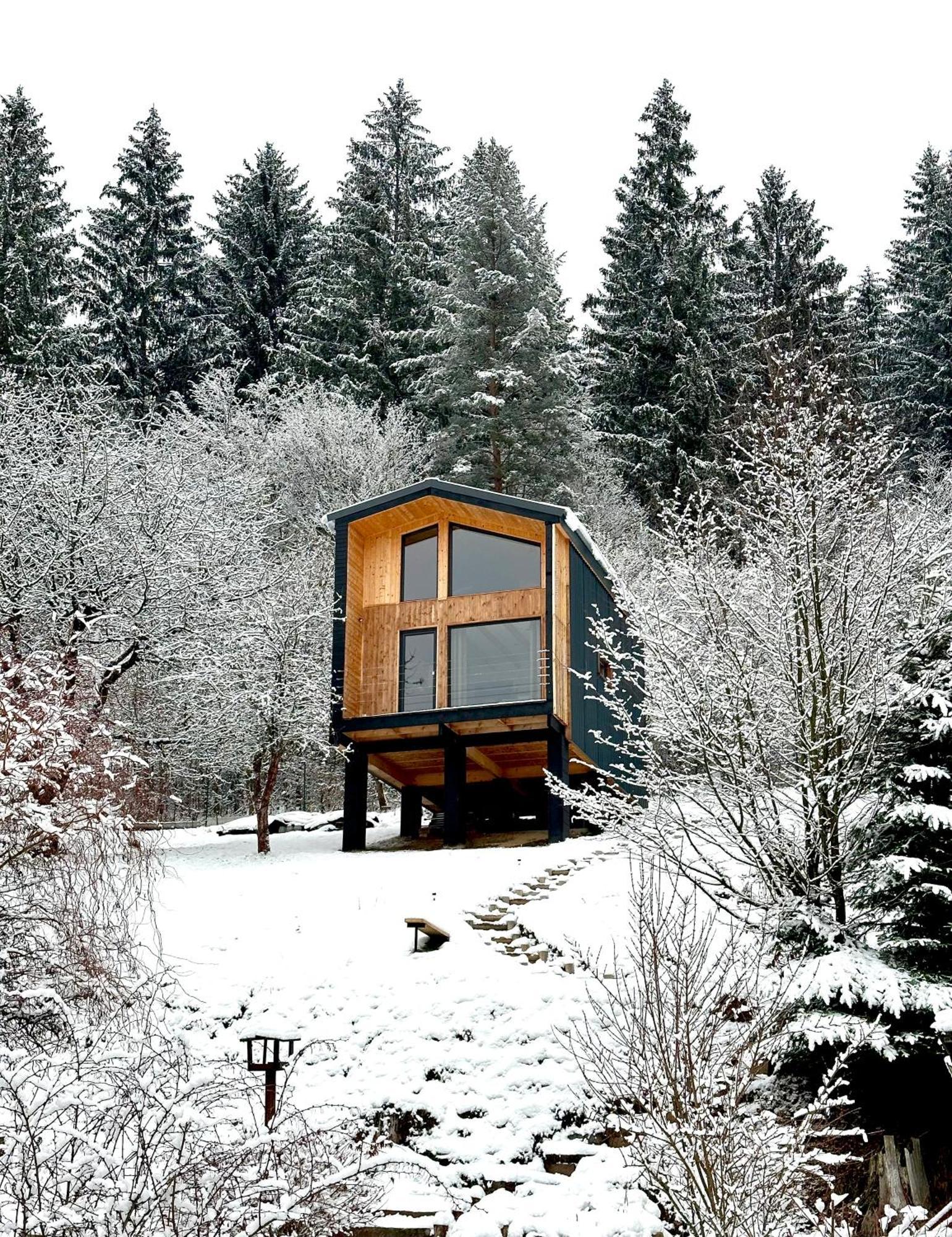 Vila Panorama / Tinyhouse Podbrezova Exteriér fotografie